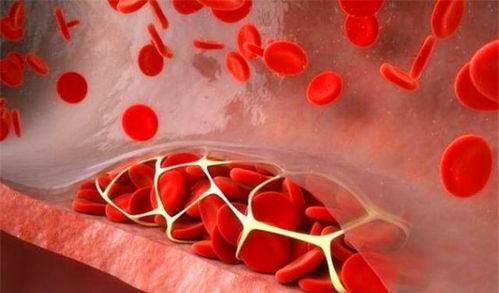 二、《司藤》里的刈族和苅族到底是个啥鬼？