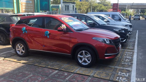 属狗的朋友：忠诚的守护者