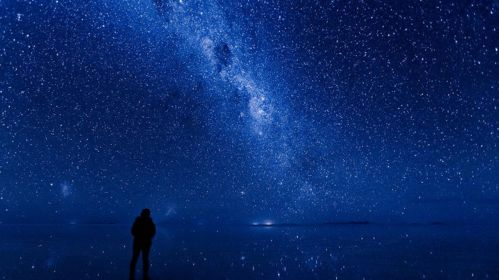 哪个星座的人对任何事情都漠不关心，堪称最冷血？