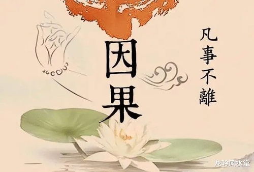 因果报应是什么生肖，打一生肖指的是哪个生肖？