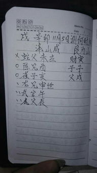 未土：热情似火，  活力四射（别说我没提醒）