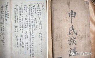 三、子姓分支：与商朝市场价格较高族有关