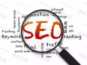 五、SEO & 域名检查——别忘了做最基本的踩坑测试！
