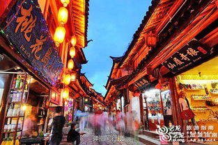 五、 文化底蕴活动：沉浸式体验宋韵之旅