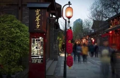 宽窄巷子：这地方…有点乱