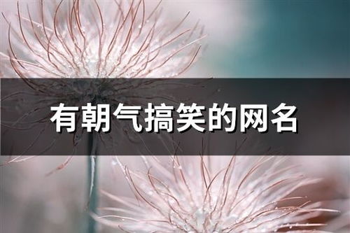 朝气蓬勃的搞笑风格网名？哦，这可不良好办啊…