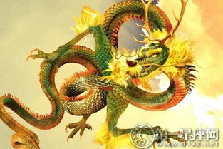 1992年属龙的人今年的运势如何？
