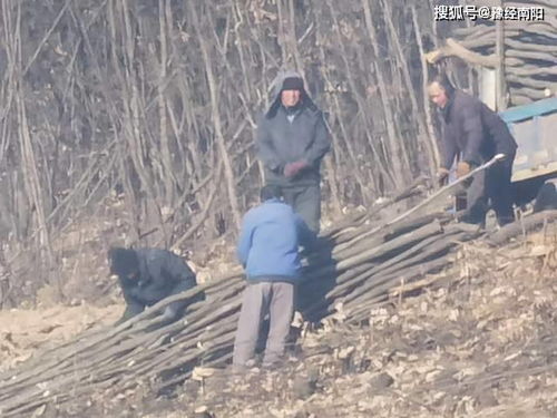 熟悉事物的陌生化