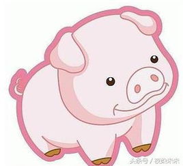 五、 命理学中的考量因素