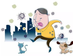 生肖运势与感冒：天命难违？