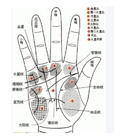 指头圆圆手掌有圆圈的手相是什么手相？