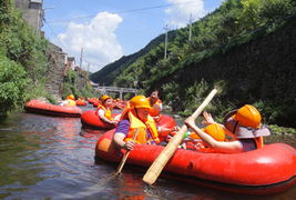 这里有几个给你凑合堪堪先混个眼熟