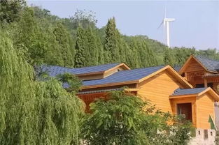 肥城刘台：一场暴雨引发的荒诞奇遇