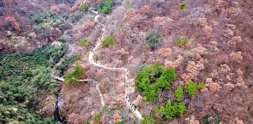 网红滤镜粉碎机：我的悲惨踩雷实录