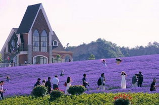 意外收获：迷路遇见的惊喜