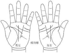 1.1 如何辨认事业线？（容易搞错哦！）