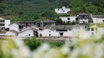 3) 南平到宁德——最后再来看一步冲刺