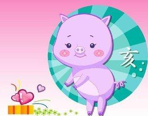 属猪人夫妻感情如何，婚姻姻缘有何特点？