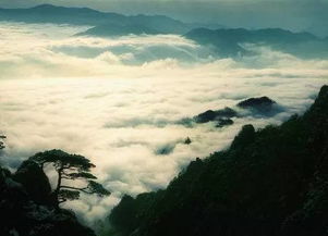 一、 春日鸣凤，初探仙境