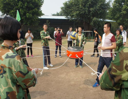 亲子活动：寓教于乐