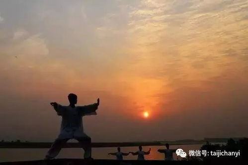 太极华盖：闪耀的天赋光芒