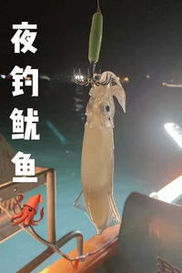 灯光与诱惑：那些闪闪发光的家伙