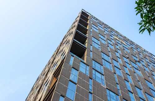 第二招：阳光就是免费的补药，不吃白不吃！