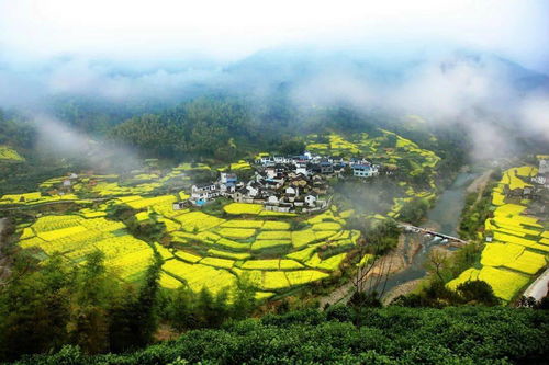 大灵山的油菜花海与通灵古道