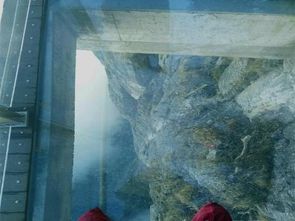 当4.8分点评变成惊天骗局