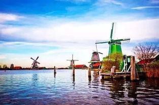 流量时代的黑色幽默