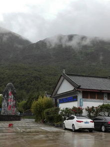 3. 风景如画单是容易迷路的平昌森林公园