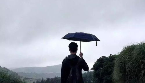 无法摆脱：宿命般的轮回
