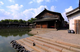 1) 古树与雾气