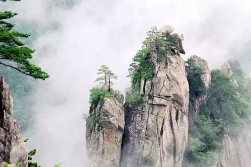 二、门票预订—怎么抢到那张传说中的“仙境通行证”？？？