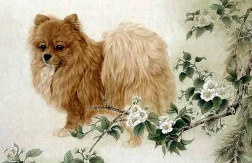 2026年3月26日属狗人运势如何？