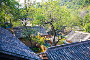 住宿价格