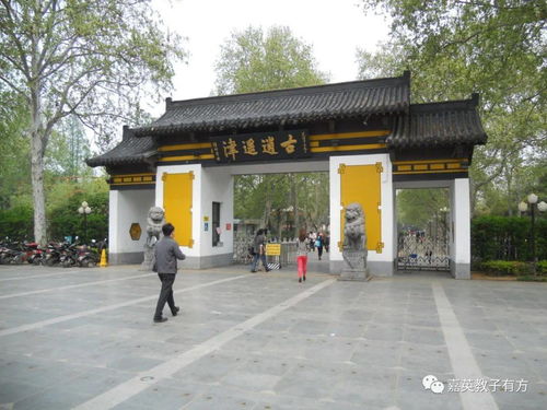 老馆的梧桐叶与新馆的落地窗：一场穿越时空的爱恋