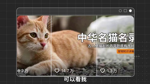 第一章：名字的摇滚狂欢