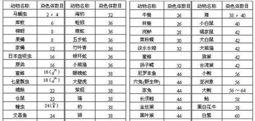 我到底嫩不嫩在七月底修一下我的“爪子”？