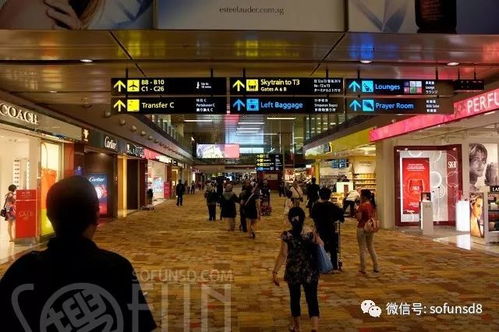 购物狂欢：从奢侈品到路边摊， 全都是“一分钱一分货”