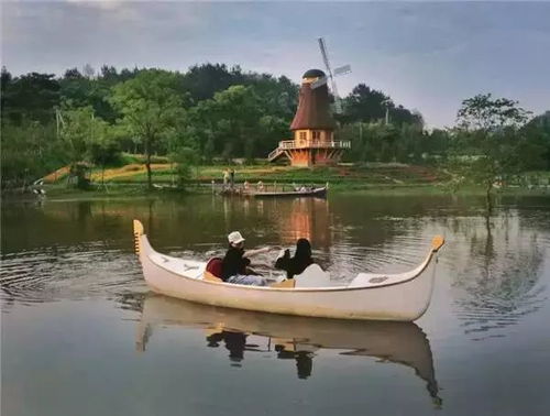 1. 绝美出片地：龙凤湿地公园的自然野趣