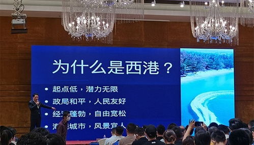 西港风俗台湾信仰瑰宝，爆款揭秘！
