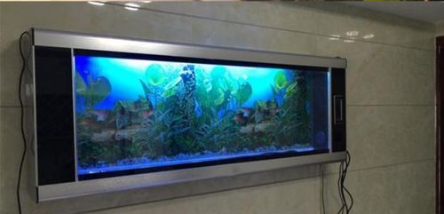 鱼缸摆放位置能决定你2026年能不能发财！