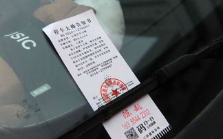 交通违法处理点：别再超速了