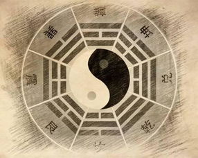 二、五行八字与命理——乱序版解析