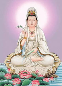 云游海上遇风停水竭 老招式：求观音保佑