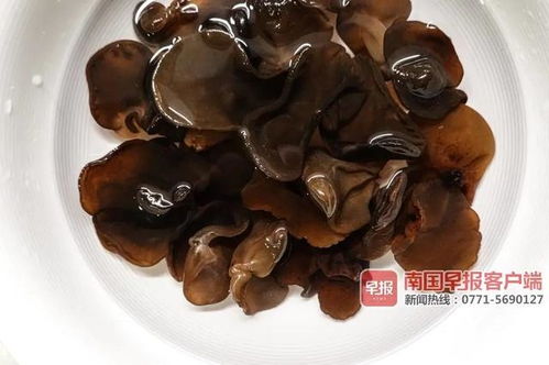 二、 不安的蔓延与风水的禁忌