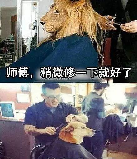 剪头翻车后的迷信操作