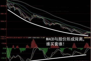 如何具体练习八字甩手法的第一式？八字甩法是什么意思？