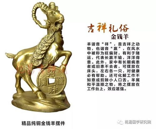 转运大法好！属鸡人必学！